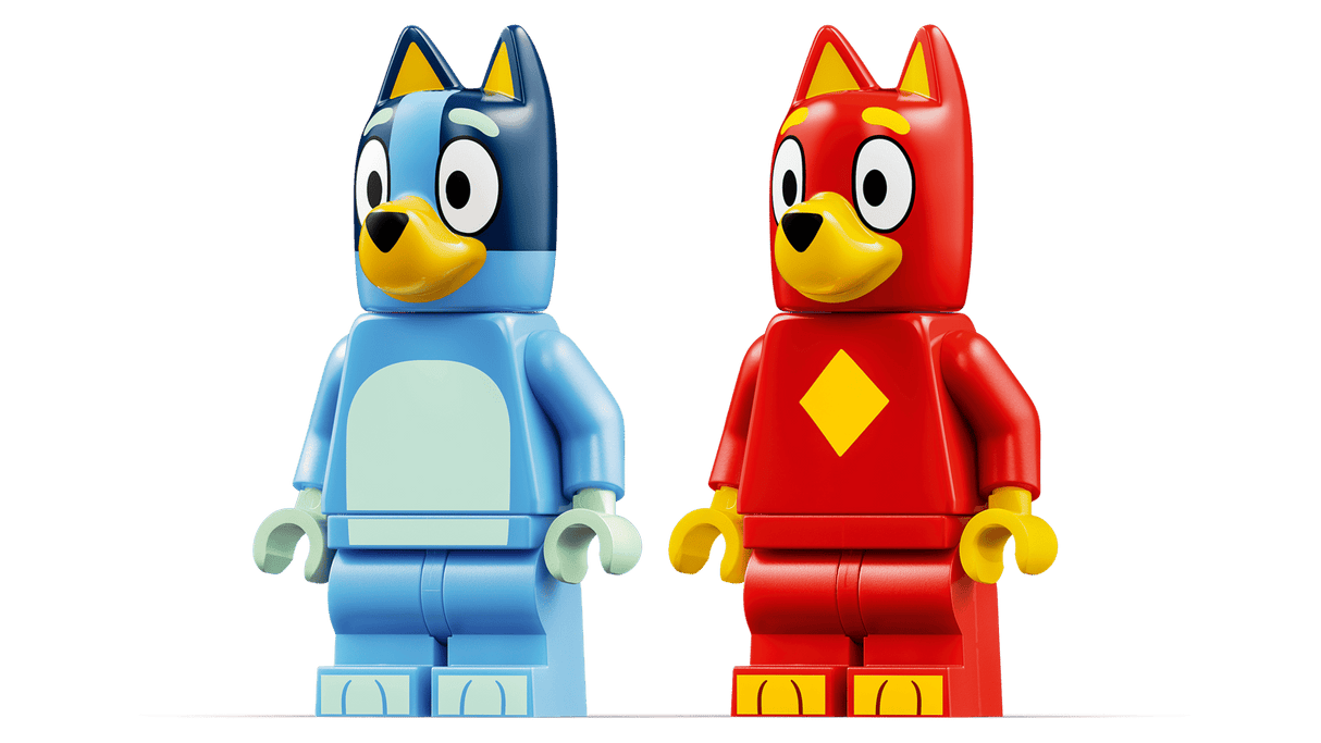School with Rusty and Bluey