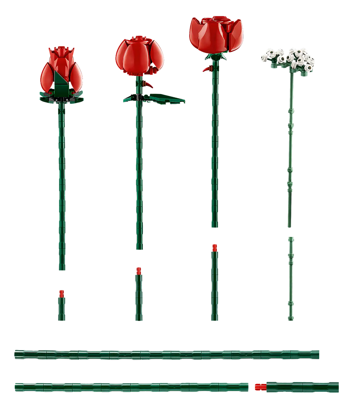 Bouquet of Roses