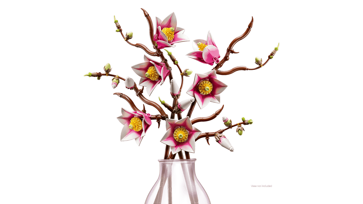 Magnolia Branches
