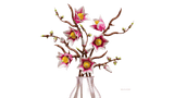 Magnolia Branches