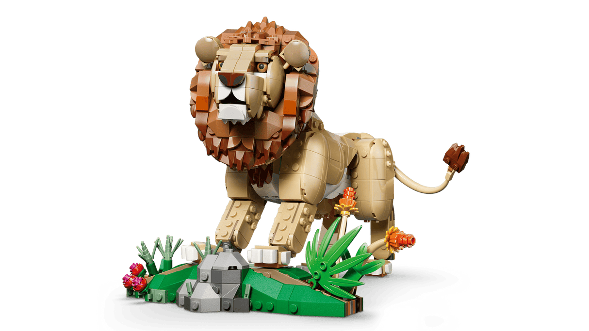 Wild Animals: Majestic Lion