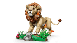 Wild Animals: Majestic Lion