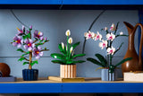 Peace Lily