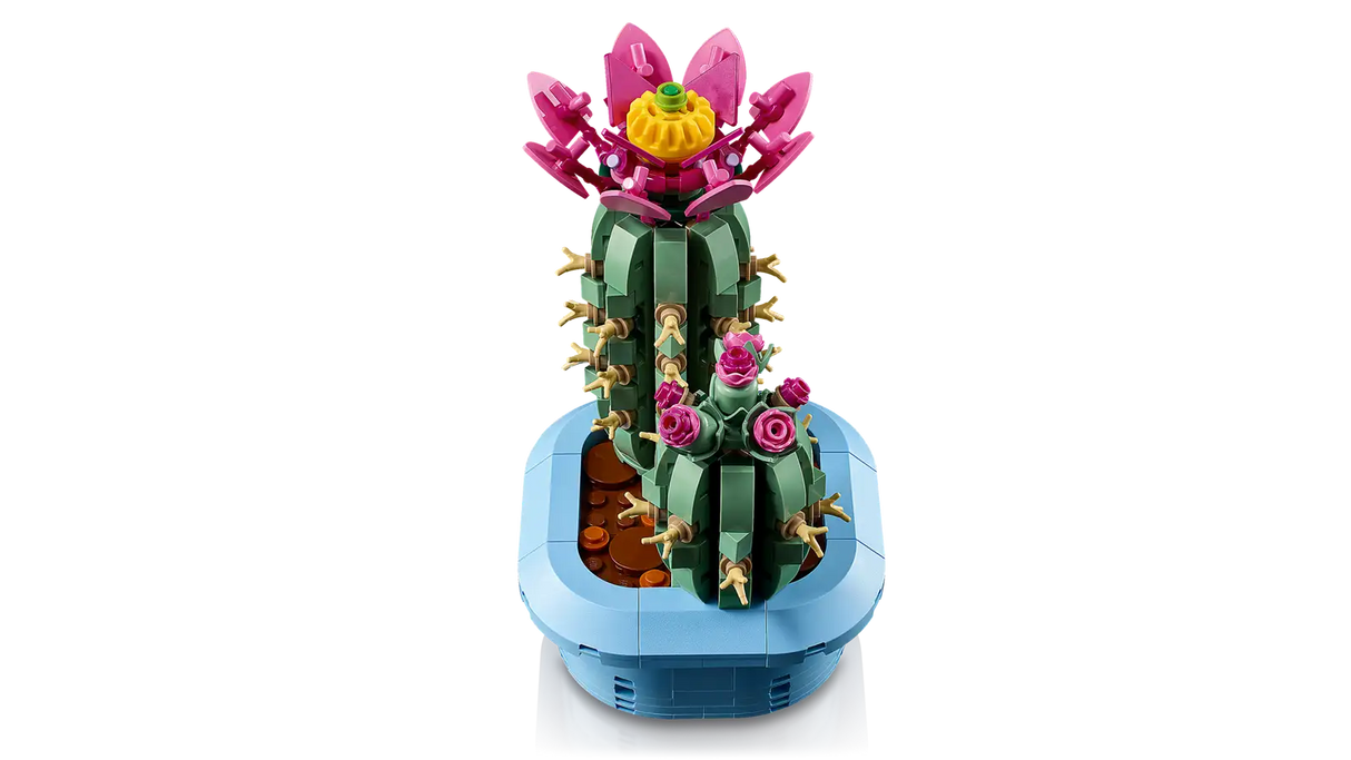 Flowering Cactus