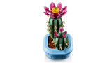 Flowering Cactus