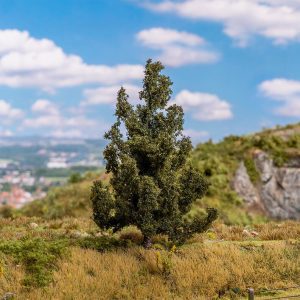 2 spruce trees