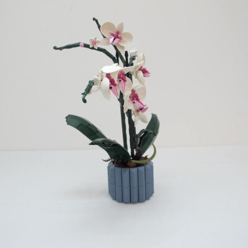 Orchid. Complete without instructions and box - Image 4