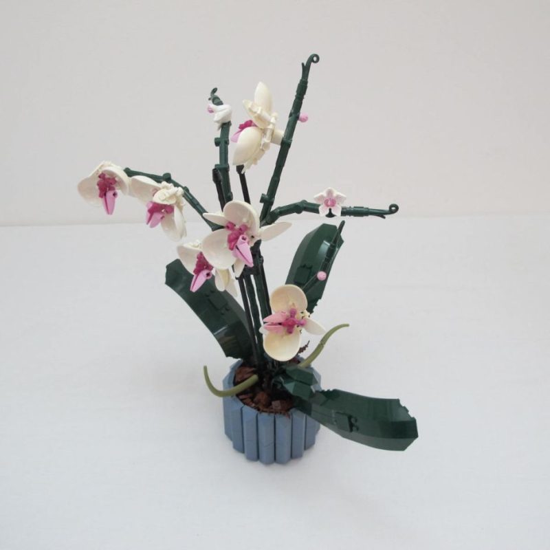 Orchid. Complete without instructions and box - Image 2