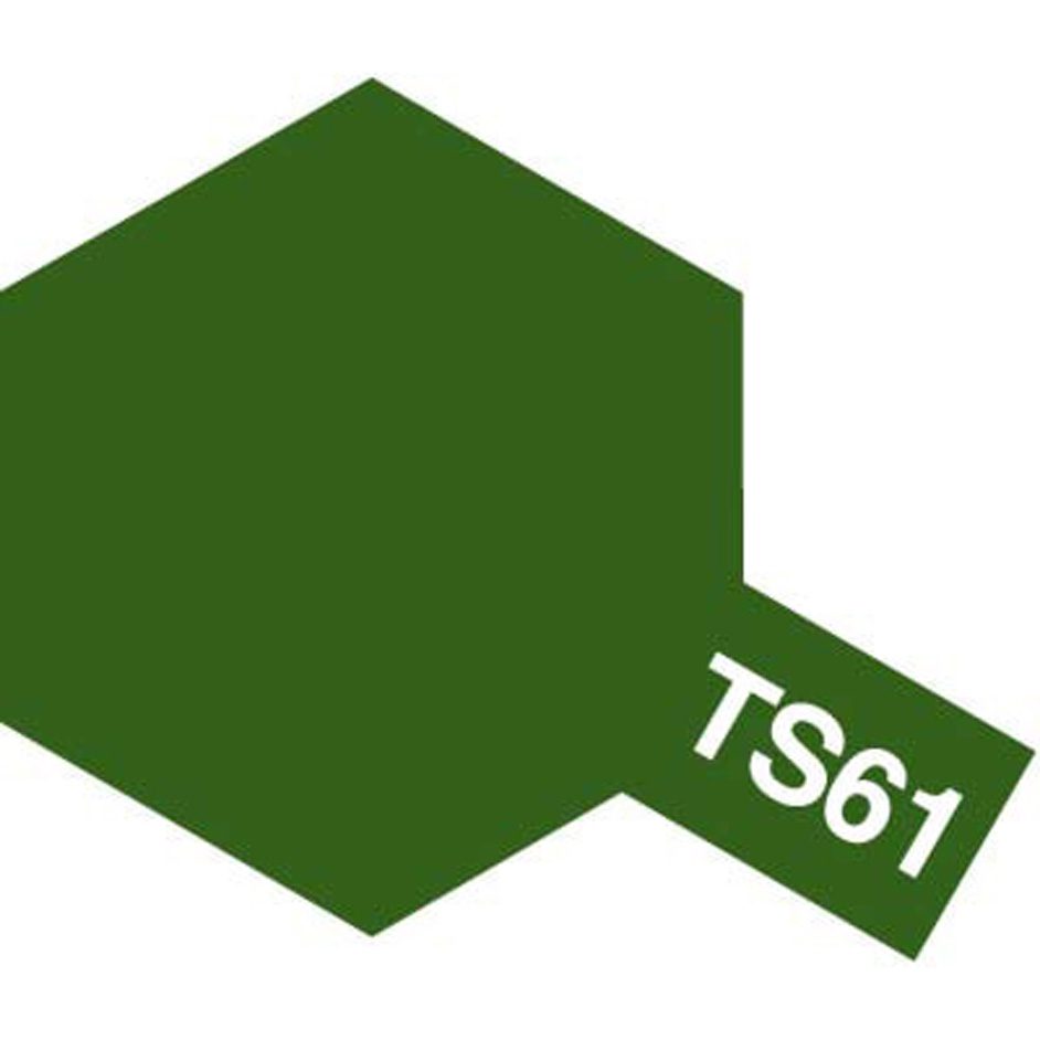 TS-61 NATO Green