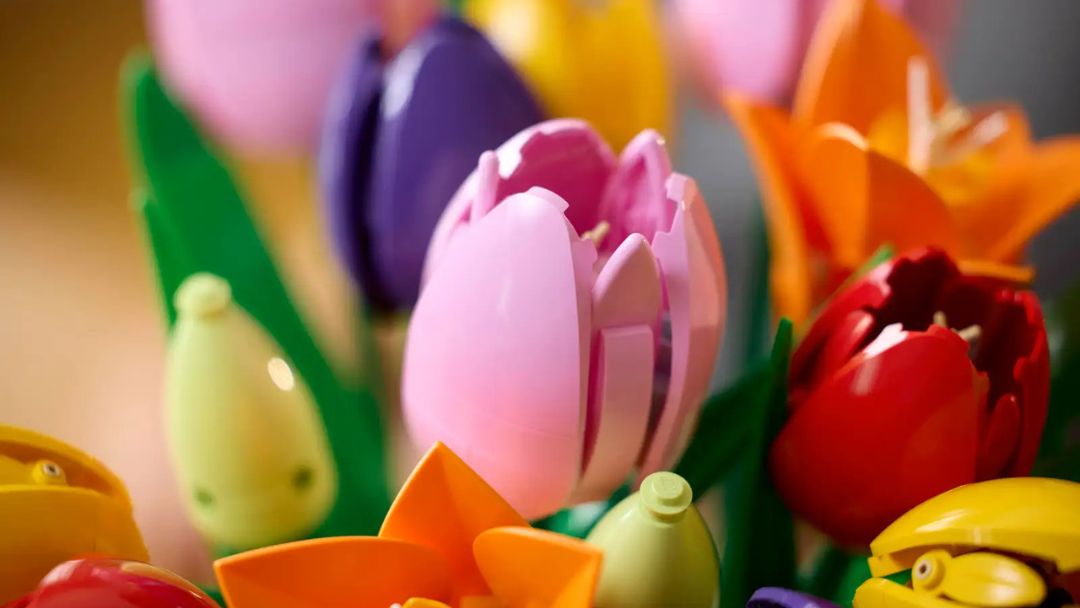 LEGO Botanicals 11501 Tulip Bouquet
