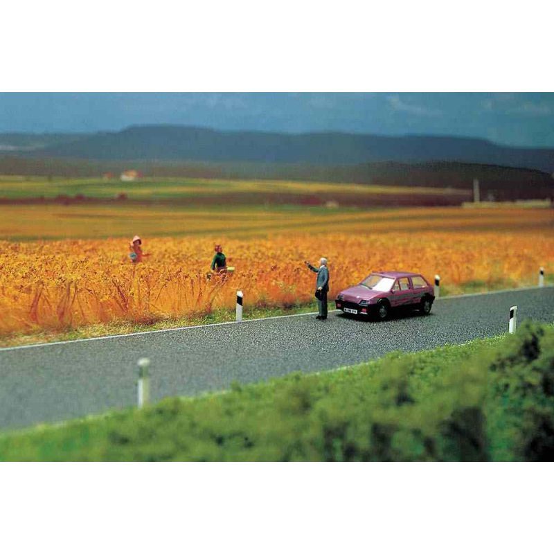 Busch Country Road H0/TT 6034