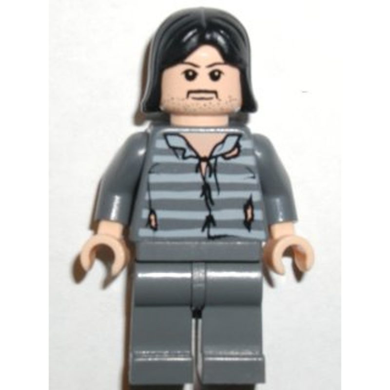 LEGO Minifigure hp045 Sirius Black – Black Hair
