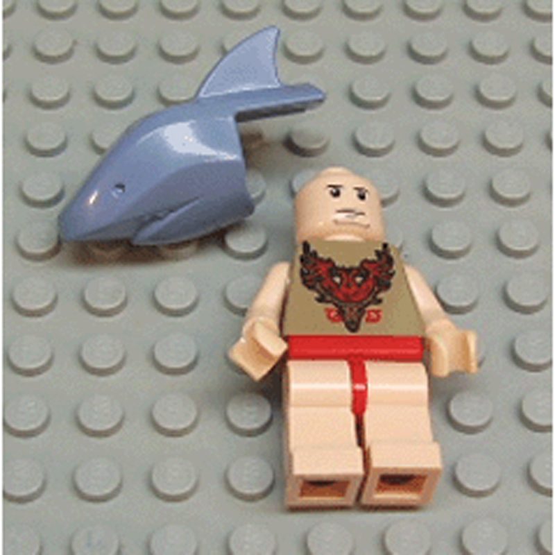 LEGO Minifigure hp068 Viktor Krum – Shark